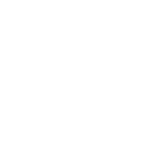 Unleashed Brands Foundation